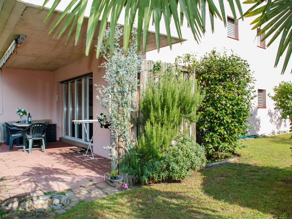 Plant, Property, Tree, Architecture, Arecales, Chair, Grass, Building, Terrestrial Plant, House