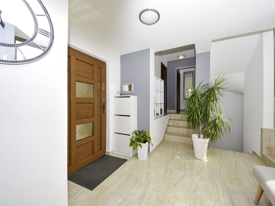Plant, Property, White, Flowerpot, Houseplant, Wood, Architecture, Interior Design, Floor