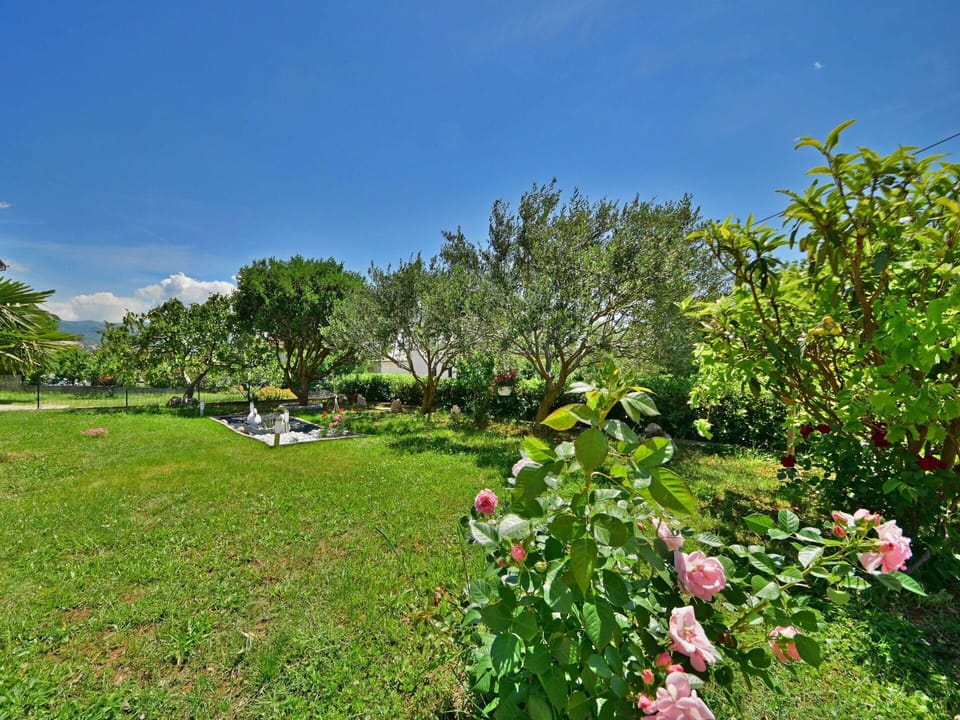 Vegetation, Garden, Flower, Meadow, Property, Natural Environment, Plant, Grass, Tree, Sky