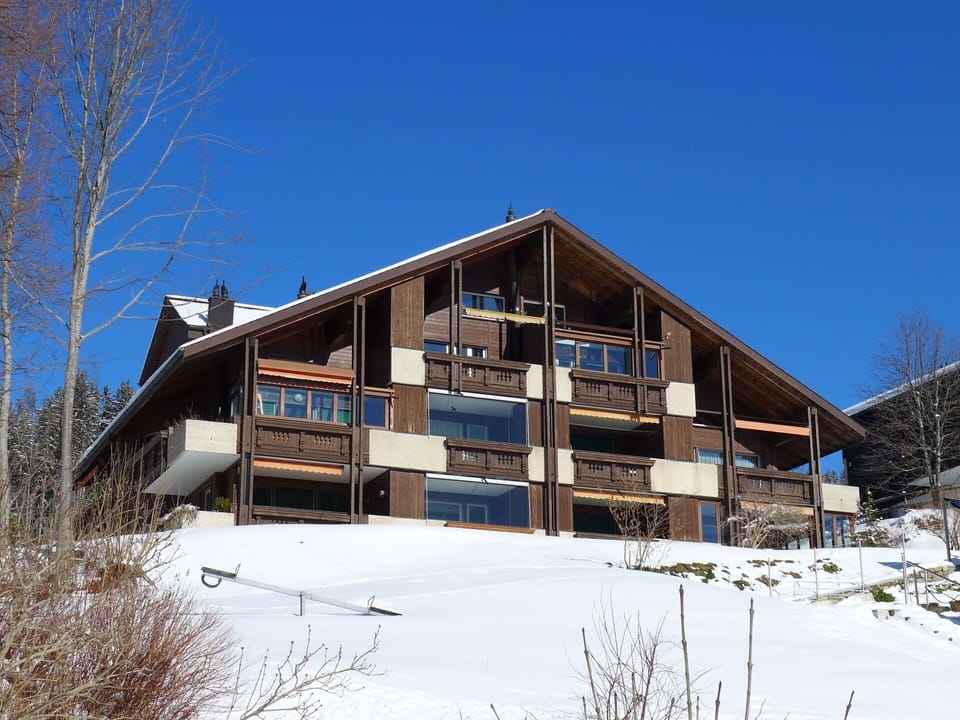 Sky, Plant, Snow, Slope, Window, Tree, Wood, Building, Residential Area, Landscape