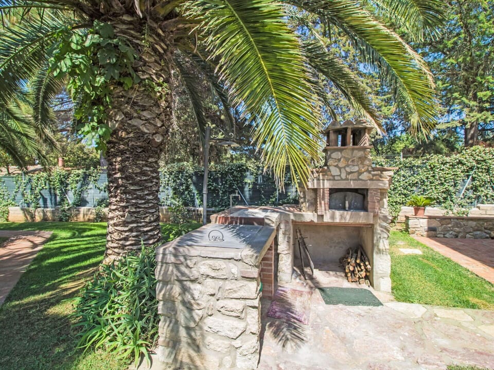 Tree, Shrub, Garden, Shade, Woody Plant, Landscaping, Resort, Hacienda, Backyard