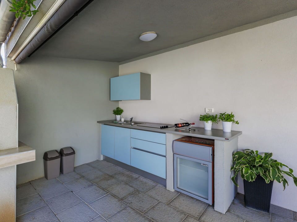 Building, Plant, Cabinetry, Countertop, Houseplant, Flowerpot, Flooring, Interior Design, Floor, Wood