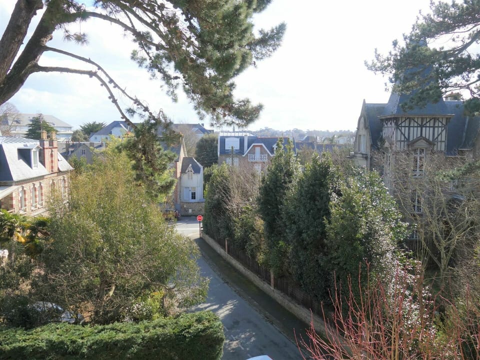Plant, Sky, Window, Tree, Vegetation, Neighbourhood, Grass, Shrub, Real Estate, City