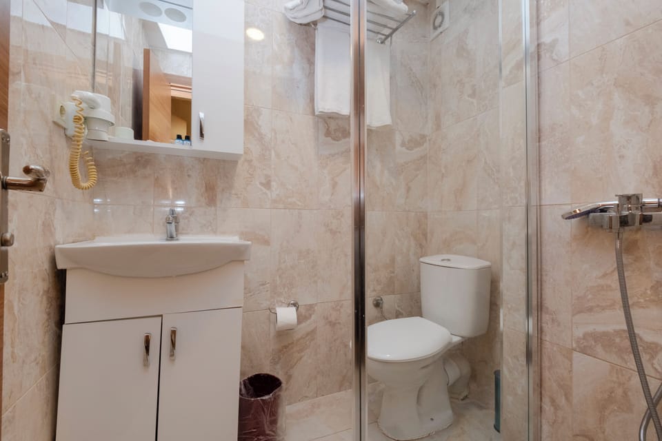 Economy Room | Bathroom | Shower, free toiletries, hair dryer, bathrobes