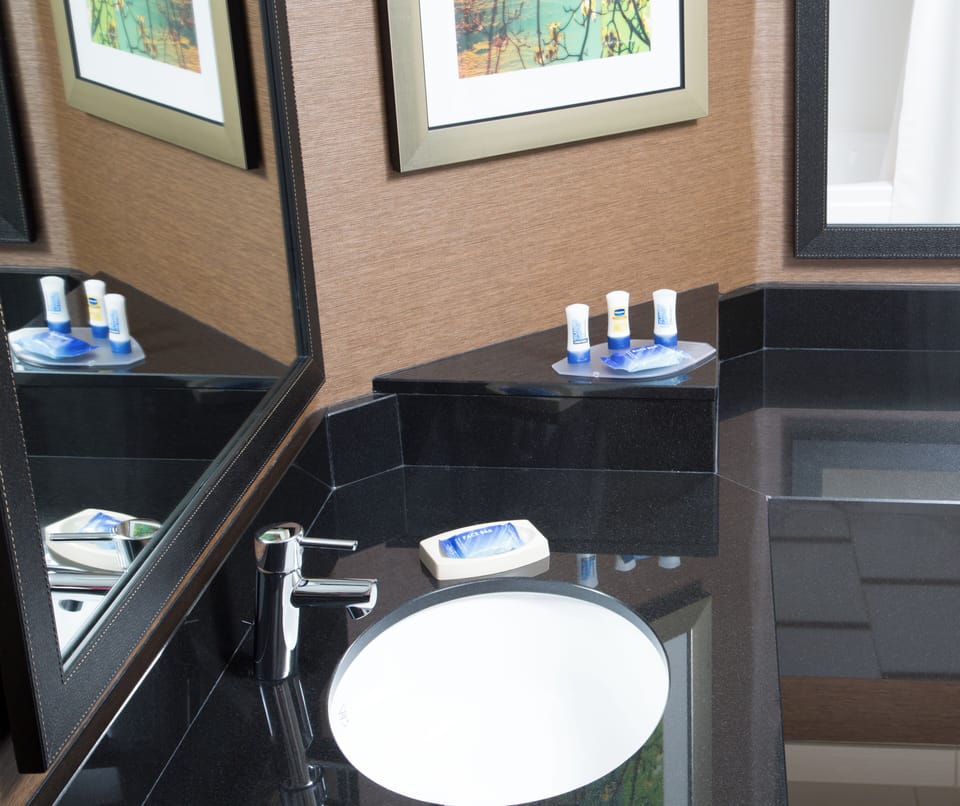 Combined shower/tub, free toiletries, hair dryer, towels