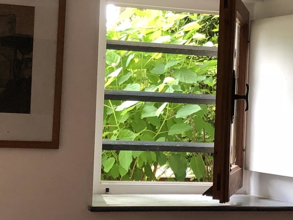 Basic Double or Twin Room, Garden View | View from room