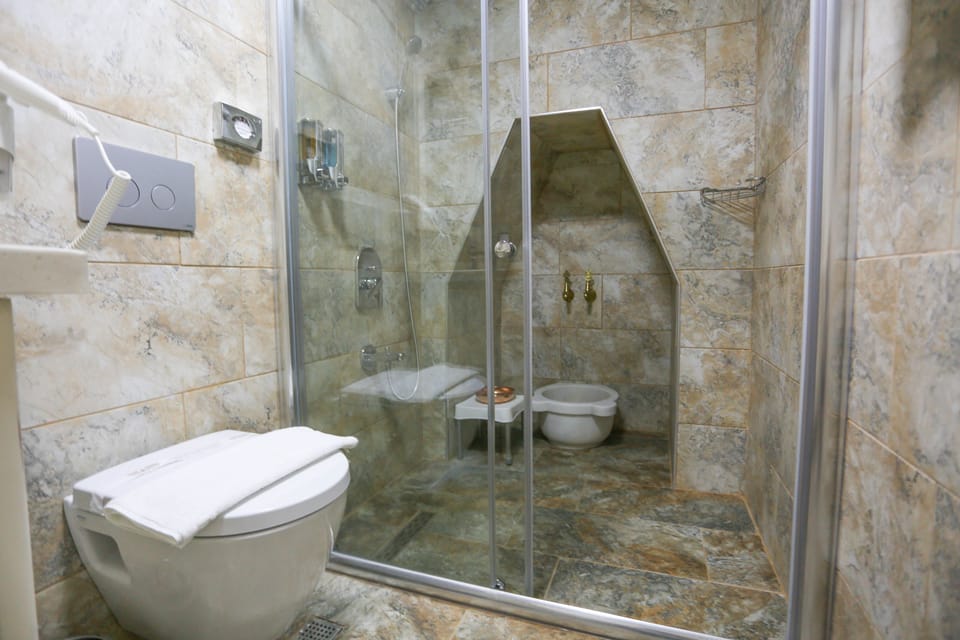 Shower, hydromassage showerhead, free toiletries, hair dryer