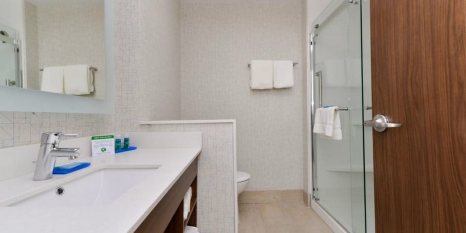 Standard Room, 1 King Bed, Accessible (Mobility, Roll-In Shower) | Bathroom | Combined shower/tub, free toiletries, hair dryer, towels