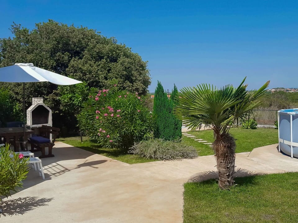 Property, House, Home, Real Estate, Tree, Grass, Botany, Architecture, Land Lot, Lawn