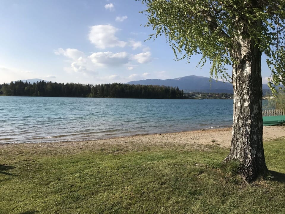 Water, Sky, Cloud, Plant, Tree, Natural Landscape, Branch, Wood, Coastal And Oceanic Landforms, Lake