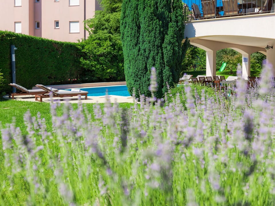 Green, Grass, Lavender, Tree, Plant, Grass Family, Lawn, Garden, Shrub, Architecture