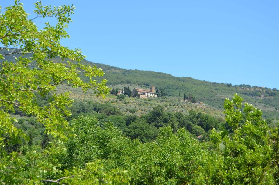 Land view from property