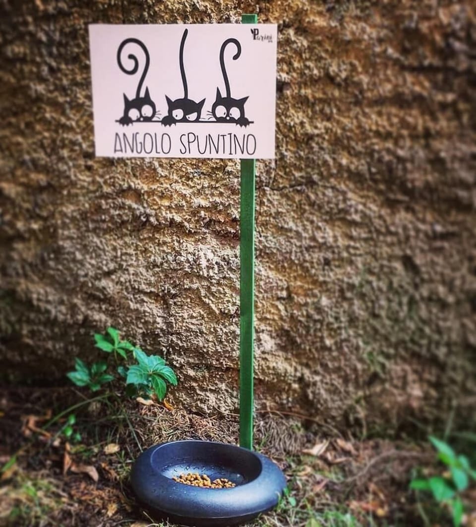 Pet-friendly