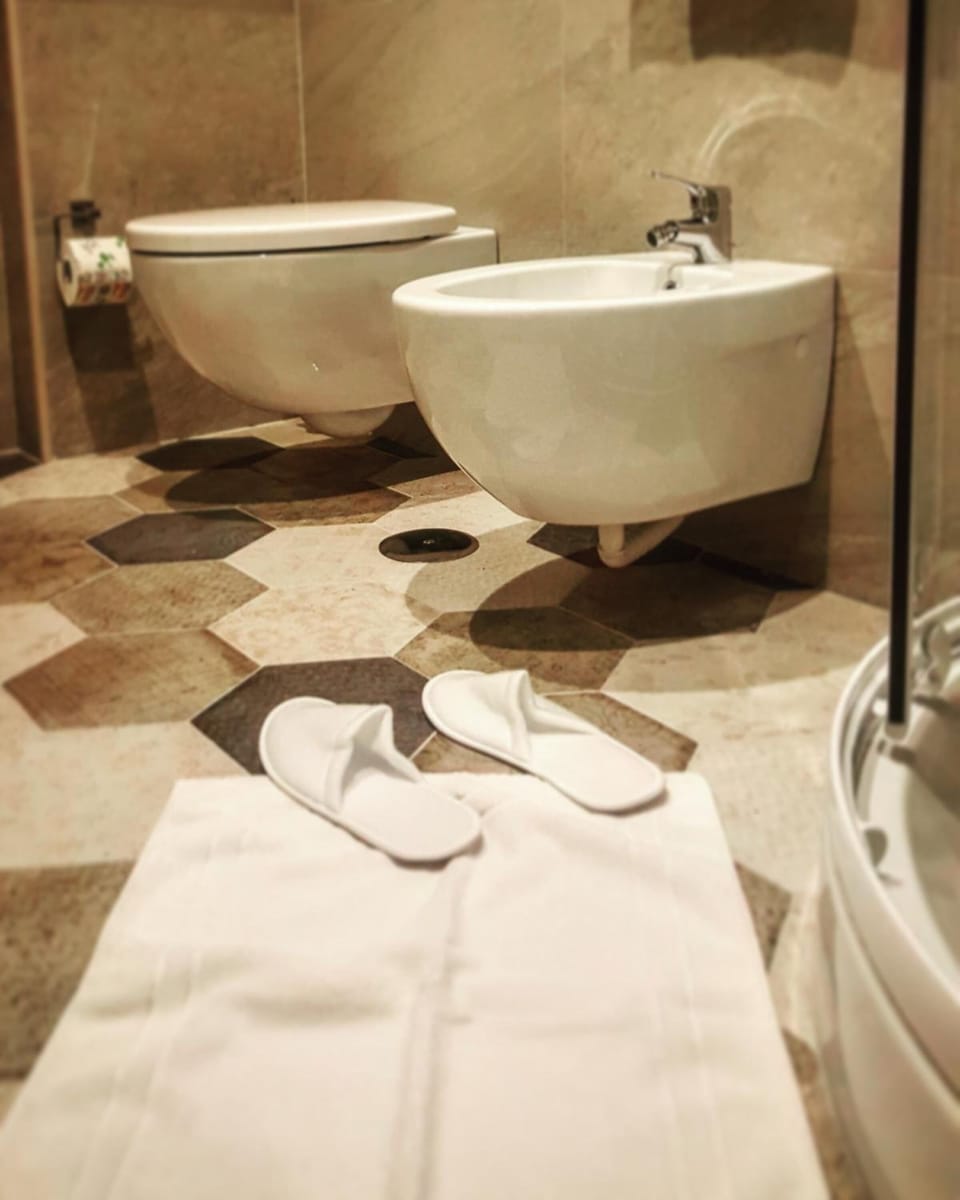 Shower, hair dryer, bathrobes, slippers