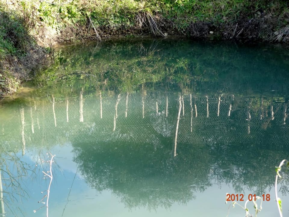 Lake