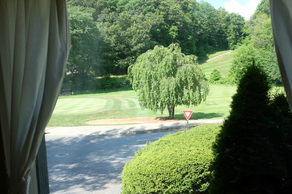 Living Room View