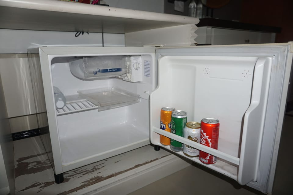 Mini-refrigerator