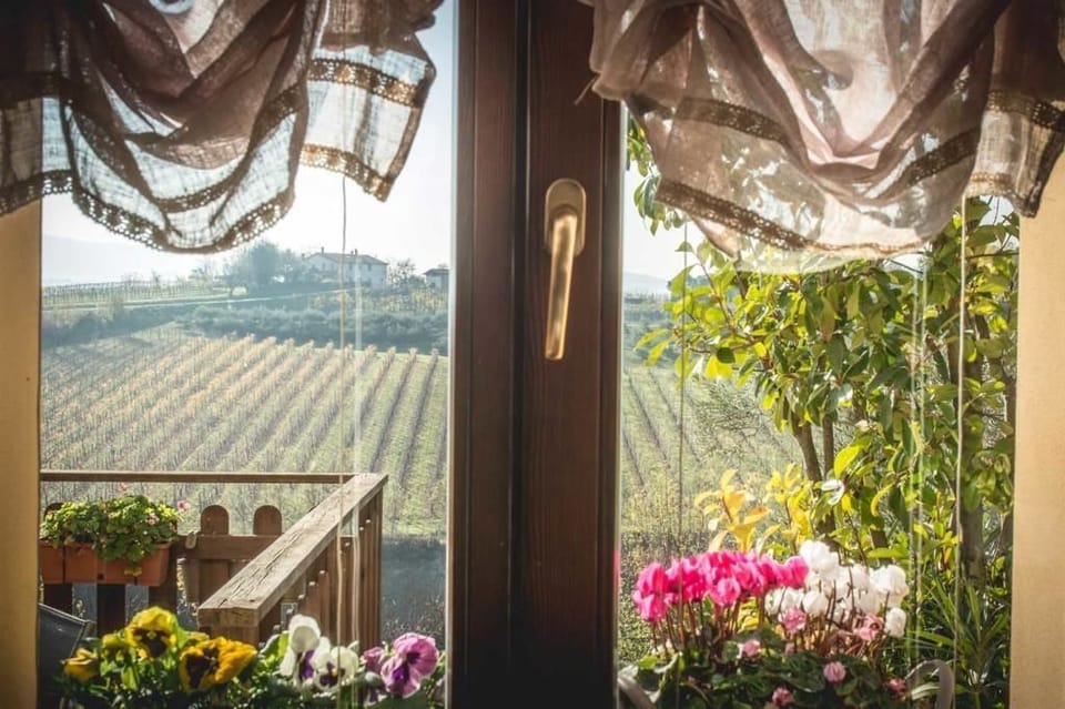 View from room