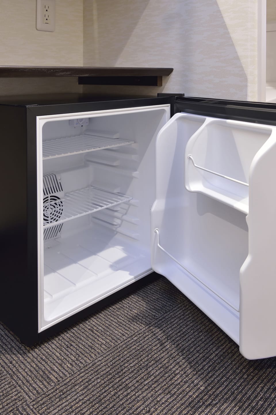 Mini-refrigerator