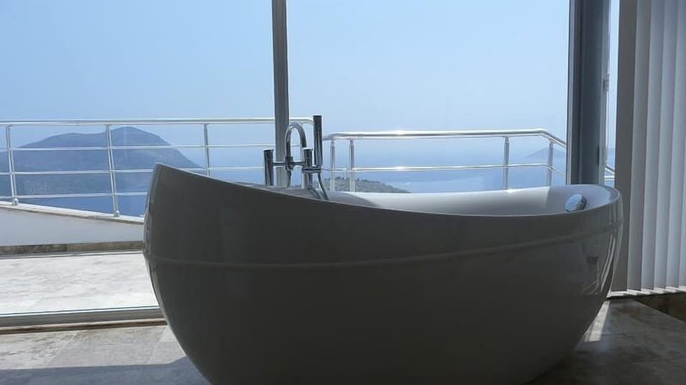 Master bedroom freestanding bath.. and the view!