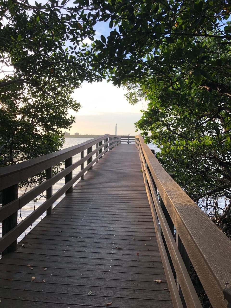 Pier