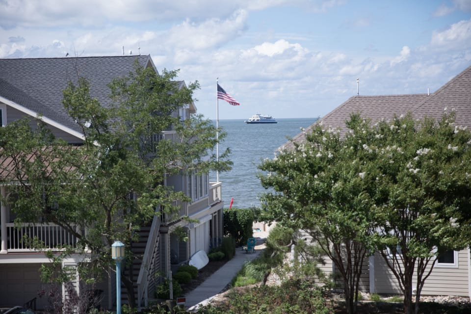 Enjoy the ferry going by!