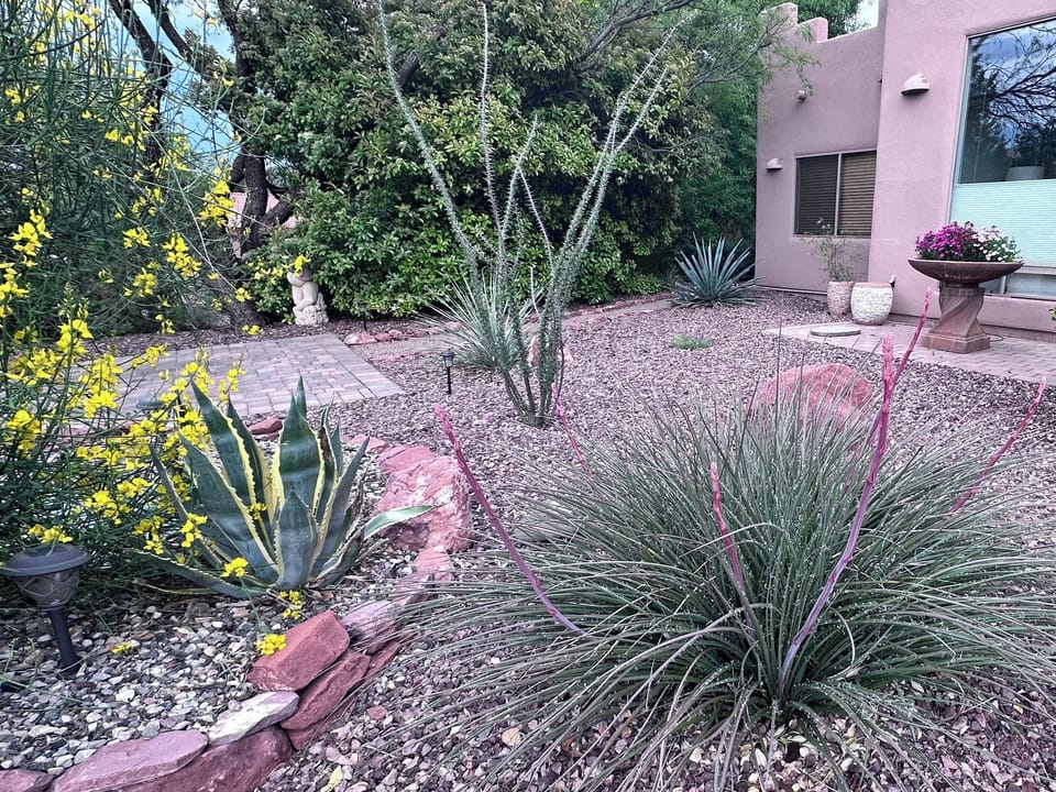Desert landscaping