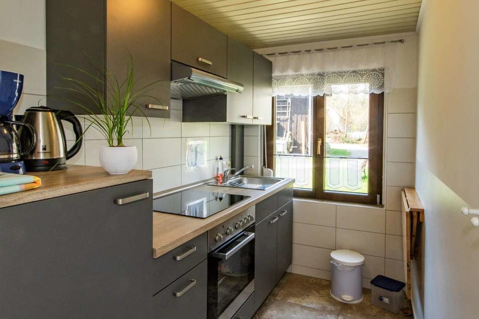 Basic Apartment (Apartment Nr.1) | Private kitchenette