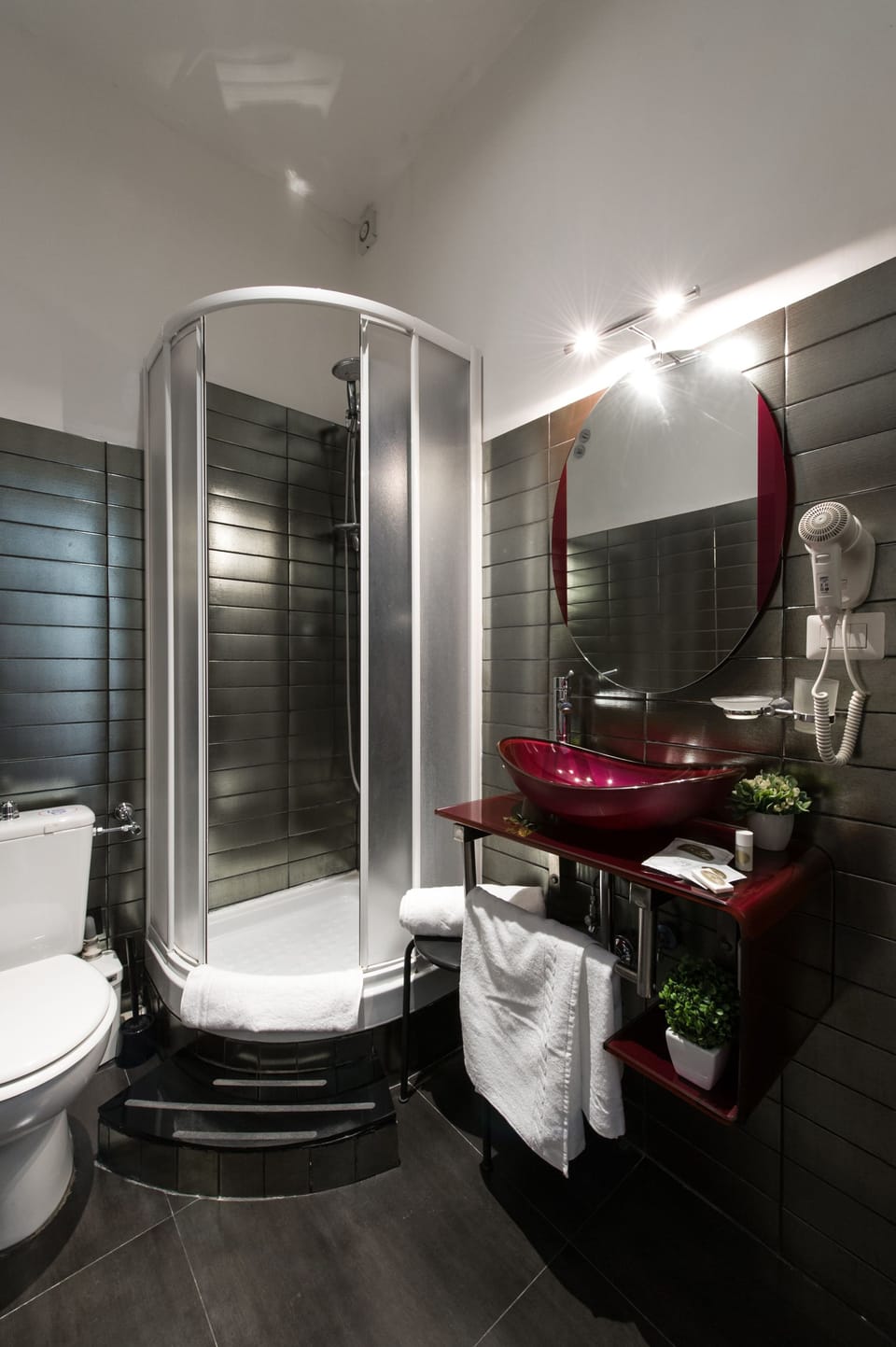Shower, hair dryer, bidet, towels