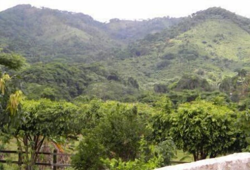 Eastern Mountains Excursion
