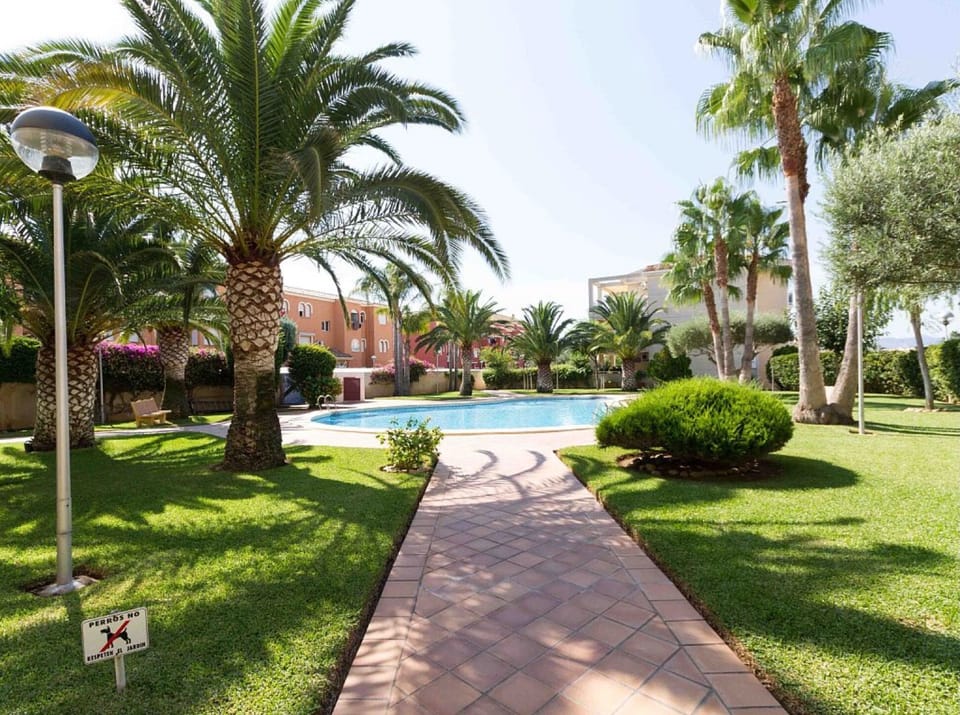Swimming pool and gardens