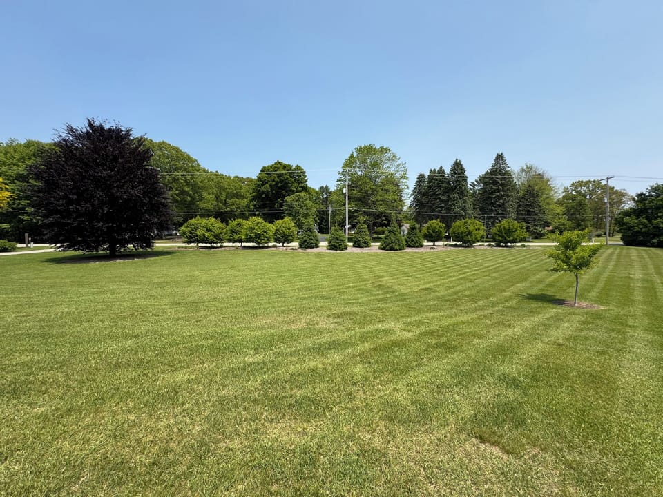 Your morning view of the front yard from the Great Room