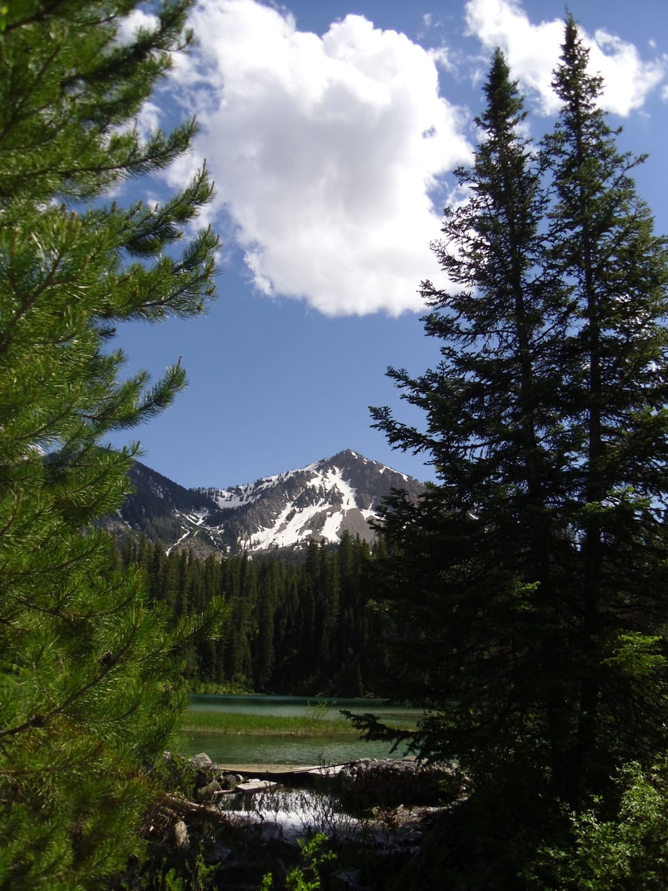 Murphy Lake