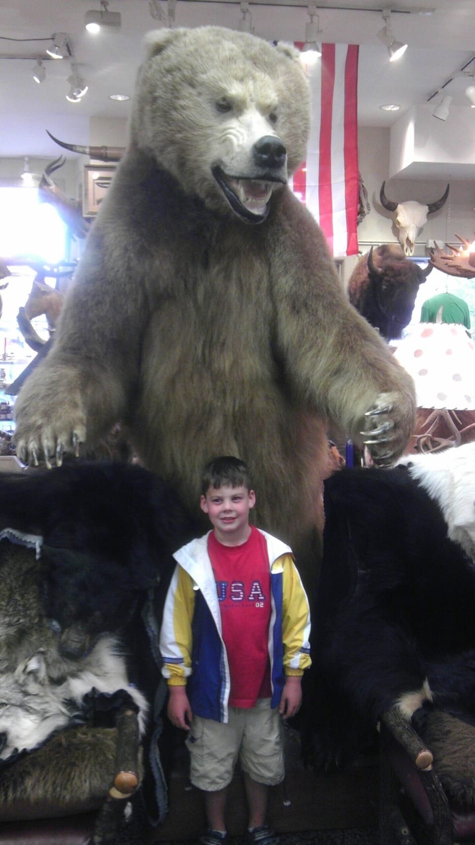 Shopping with the Wildlife/Jackson Town Square