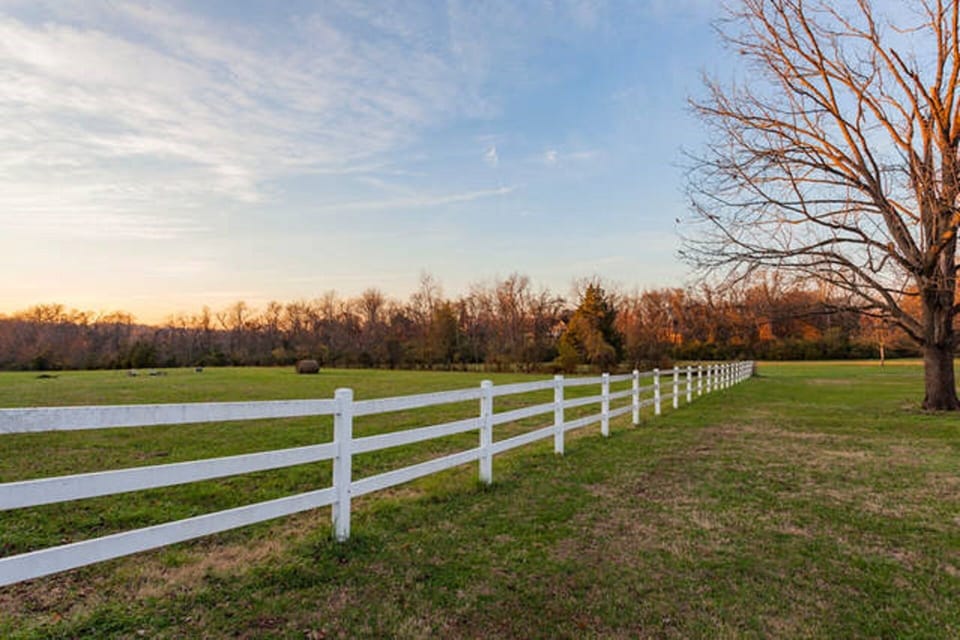 Pasture behind main house view