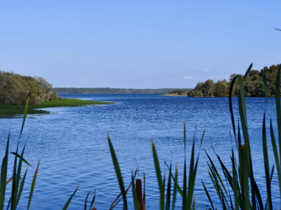 Blue, Water Resources, Water, Body Of Water, Green, Natural Landscape, Waterway, Bank, Watercourse, Marsh