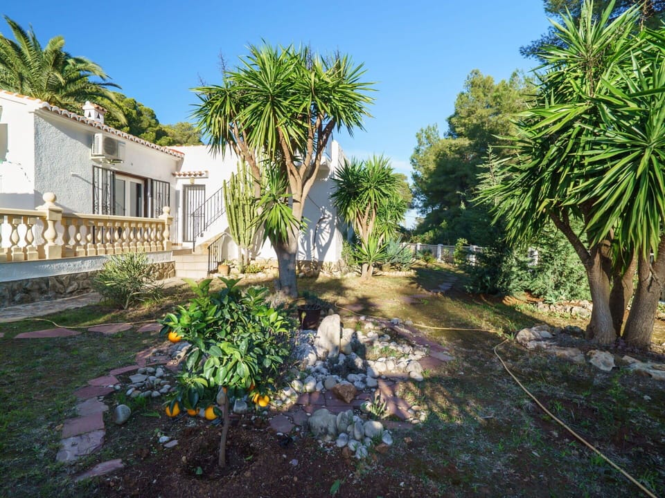 Property, Vegetation, Real Estate, Tree, House, Home, Botany, Garden, Palm Tree, Estate