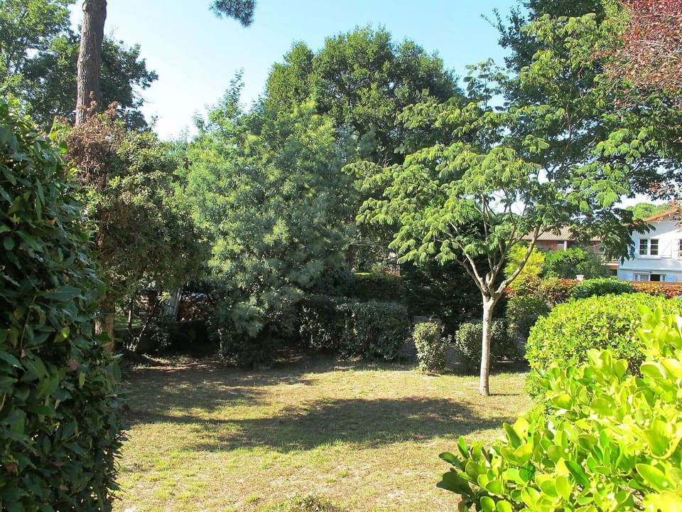 Vegetation, Property, Tree, Garden, Natural Landscape, Real Estate, House, Plant, Botany, Grass