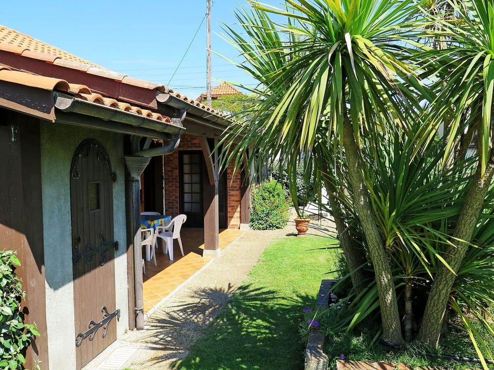 Property, House, Real Estate, Tree, Building, Palm Tree, Botany, Arecales, Grass, Plant