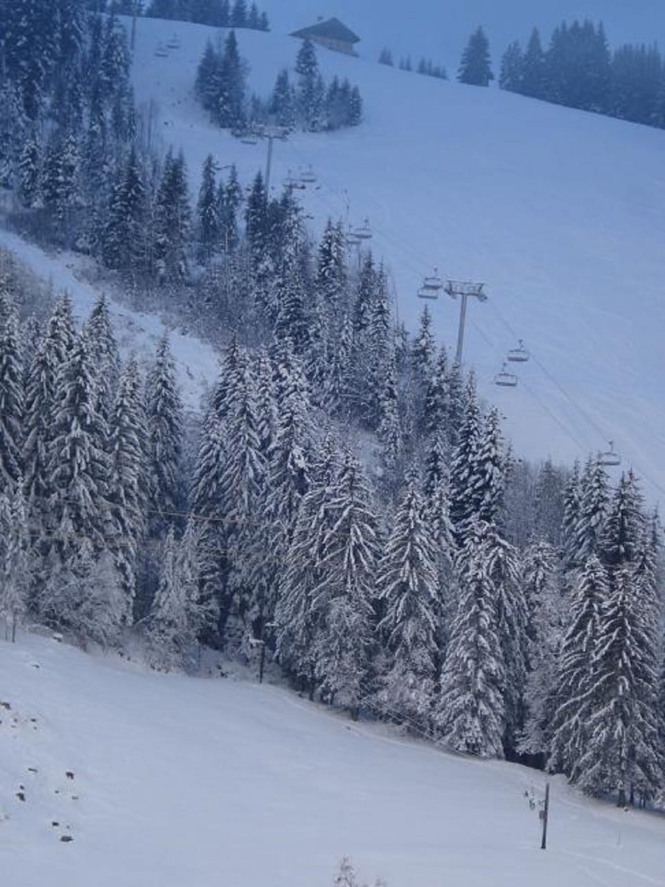 Snow and ski sports