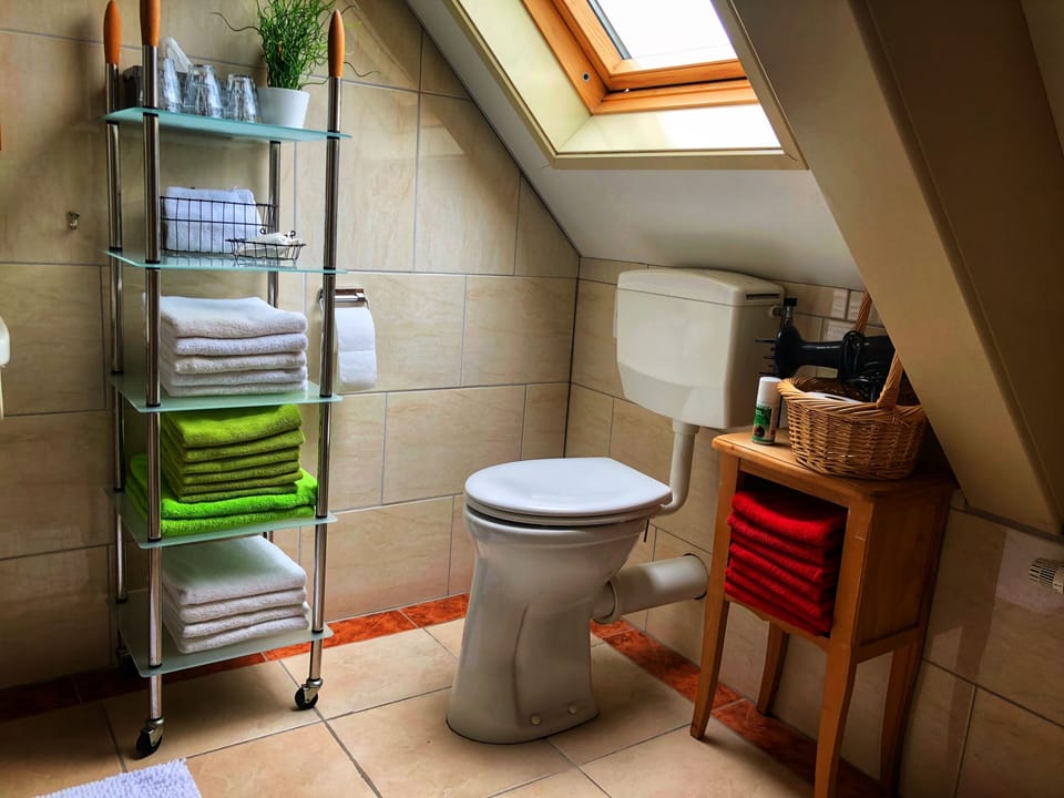Shower, free toiletries, hair dryer, bathrobes