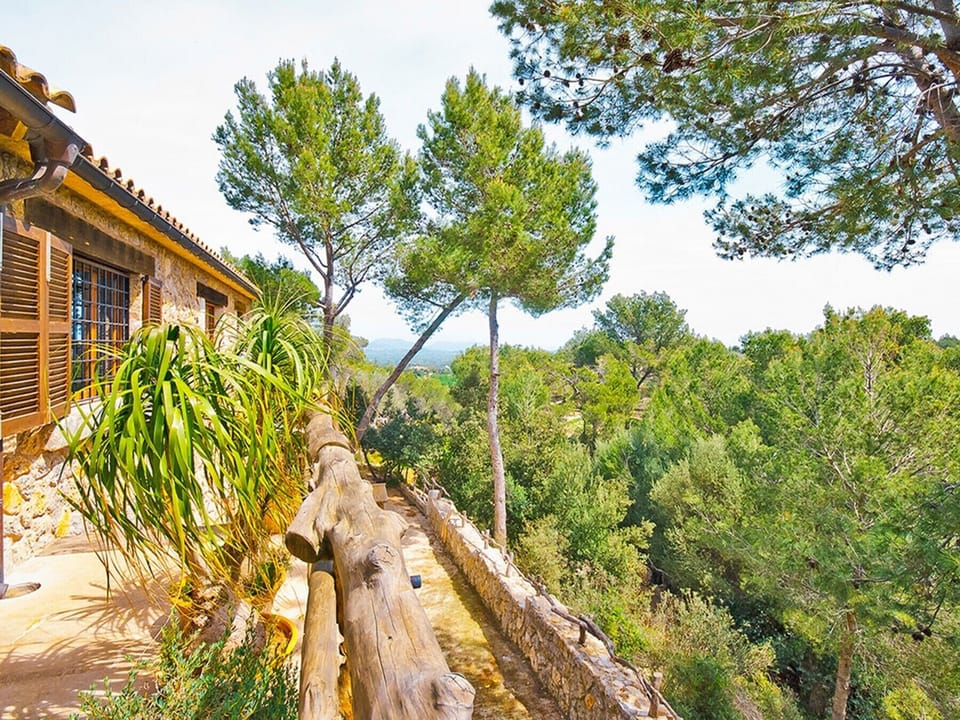 Incredible mountain and forest views from the house.