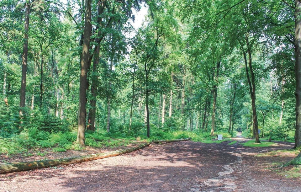 area
