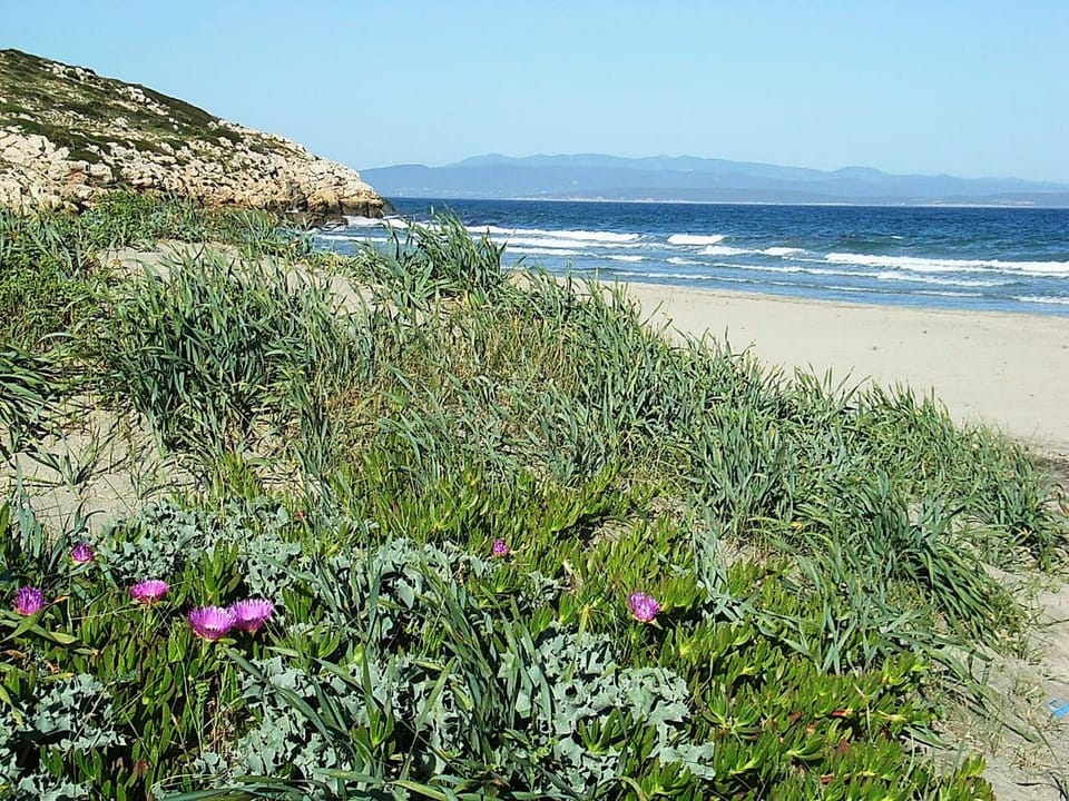 Beach shuttle, sun loungers, beach umbrellas, beach towels