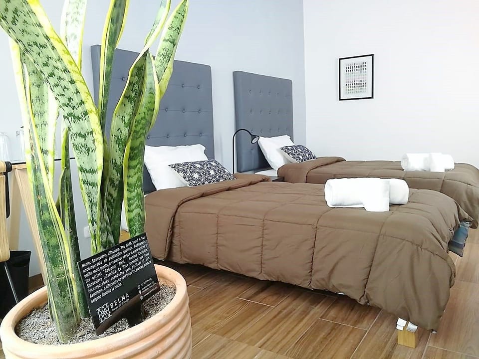Minibar, in-room safe, blackout drapes, iron/ironing board (on request)