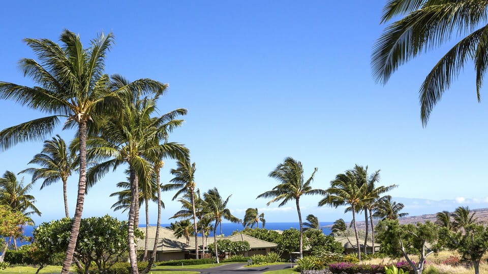 View from Lanai