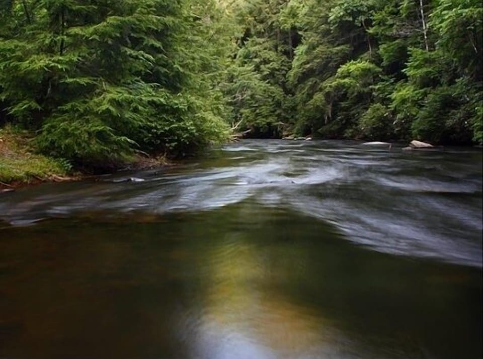 Incredible view directly in front of Cabin Fever!