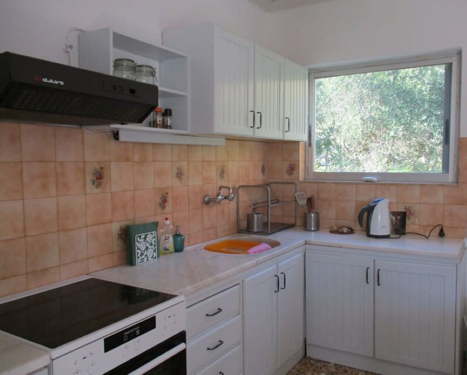 Fully equipped kitchen, looking into garden and olive grove