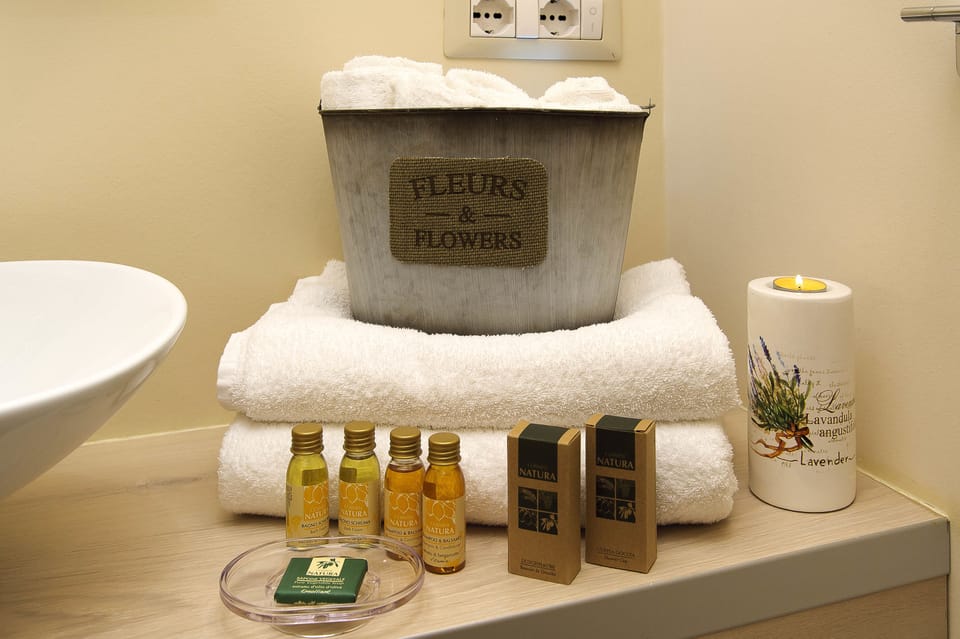 Standard Double Room | Bathroom | Shower, free toiletries, hair dryer, towels