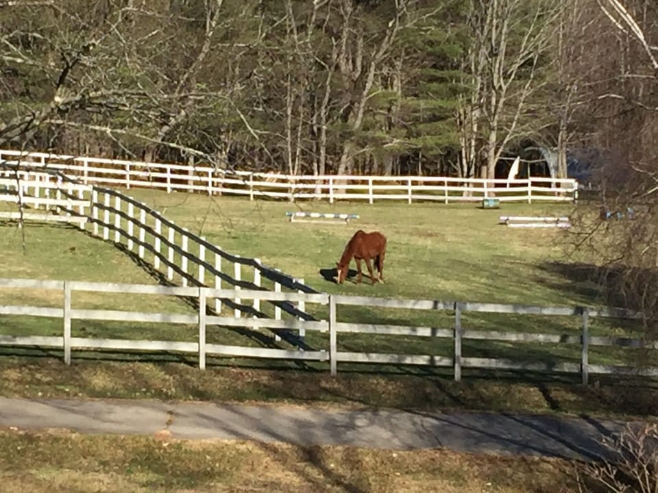 Next Door Neighbor's Horse Farm